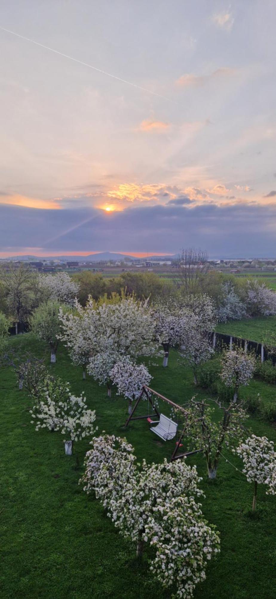 Stupina Hotel Brassó Kültér fotó