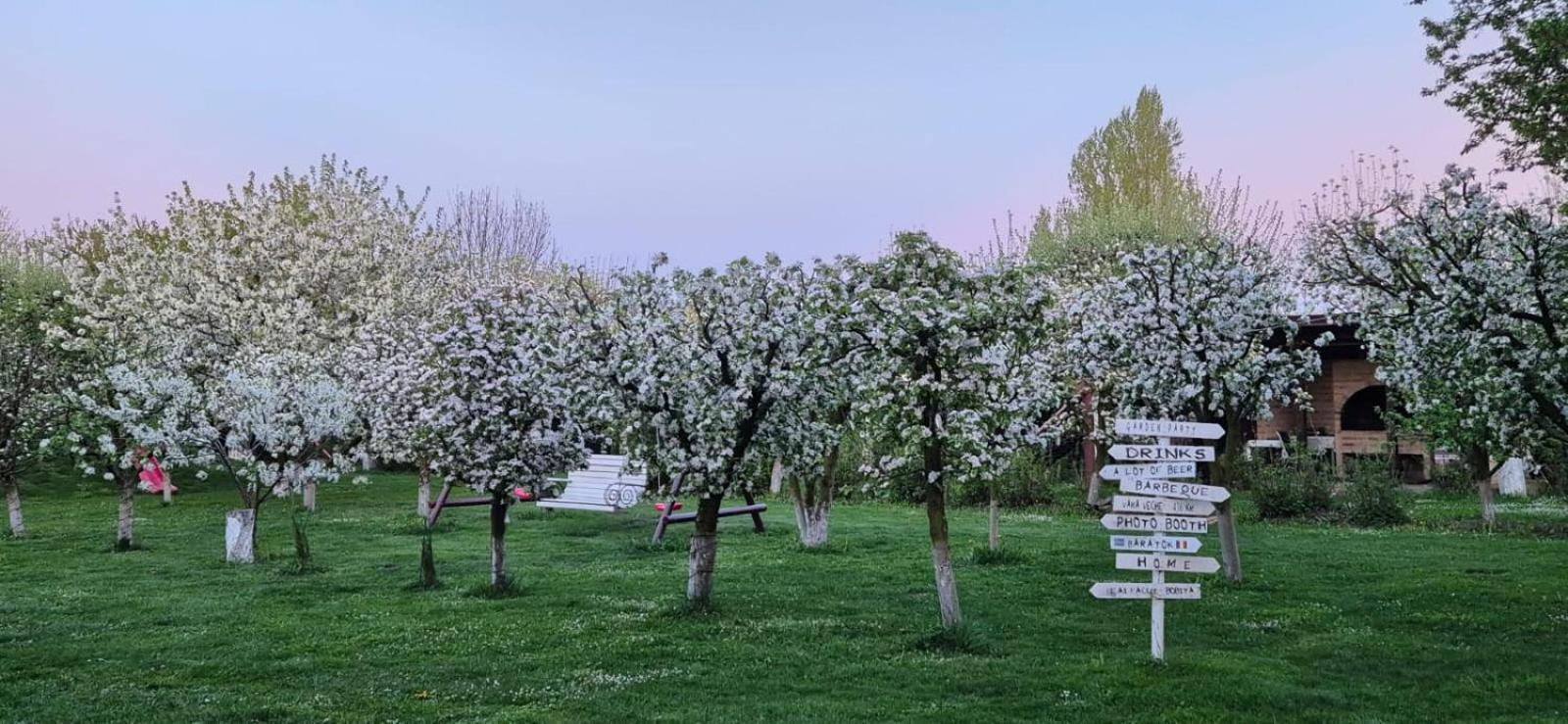 Stupina Hotel Brassó Kültér fotó