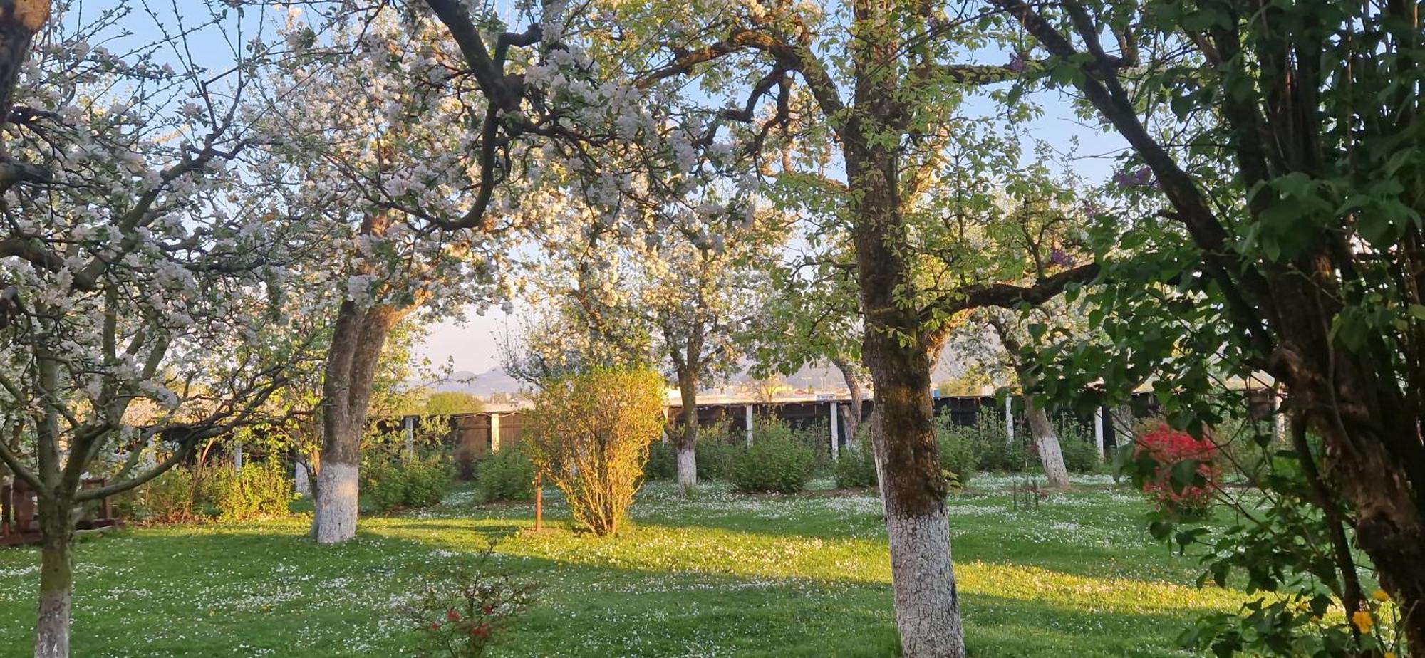 Stupina Hotel Brassó Kültér fotó