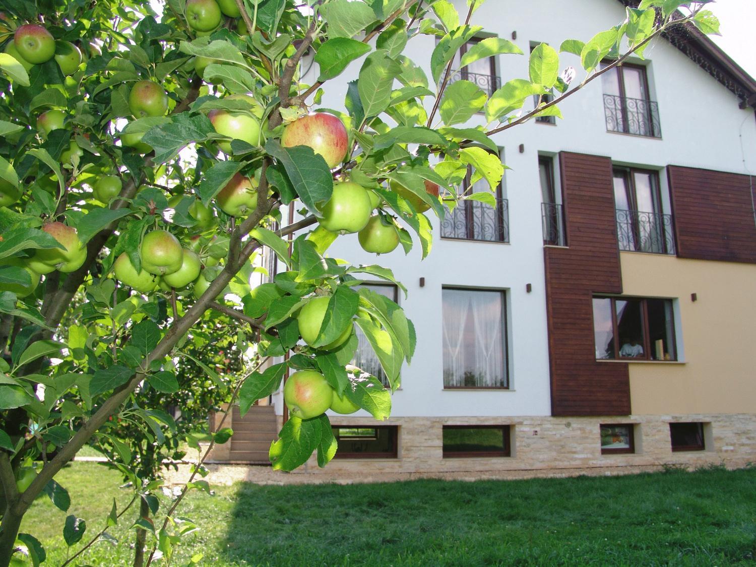Stupina Hotel Brassó Kültér fotó