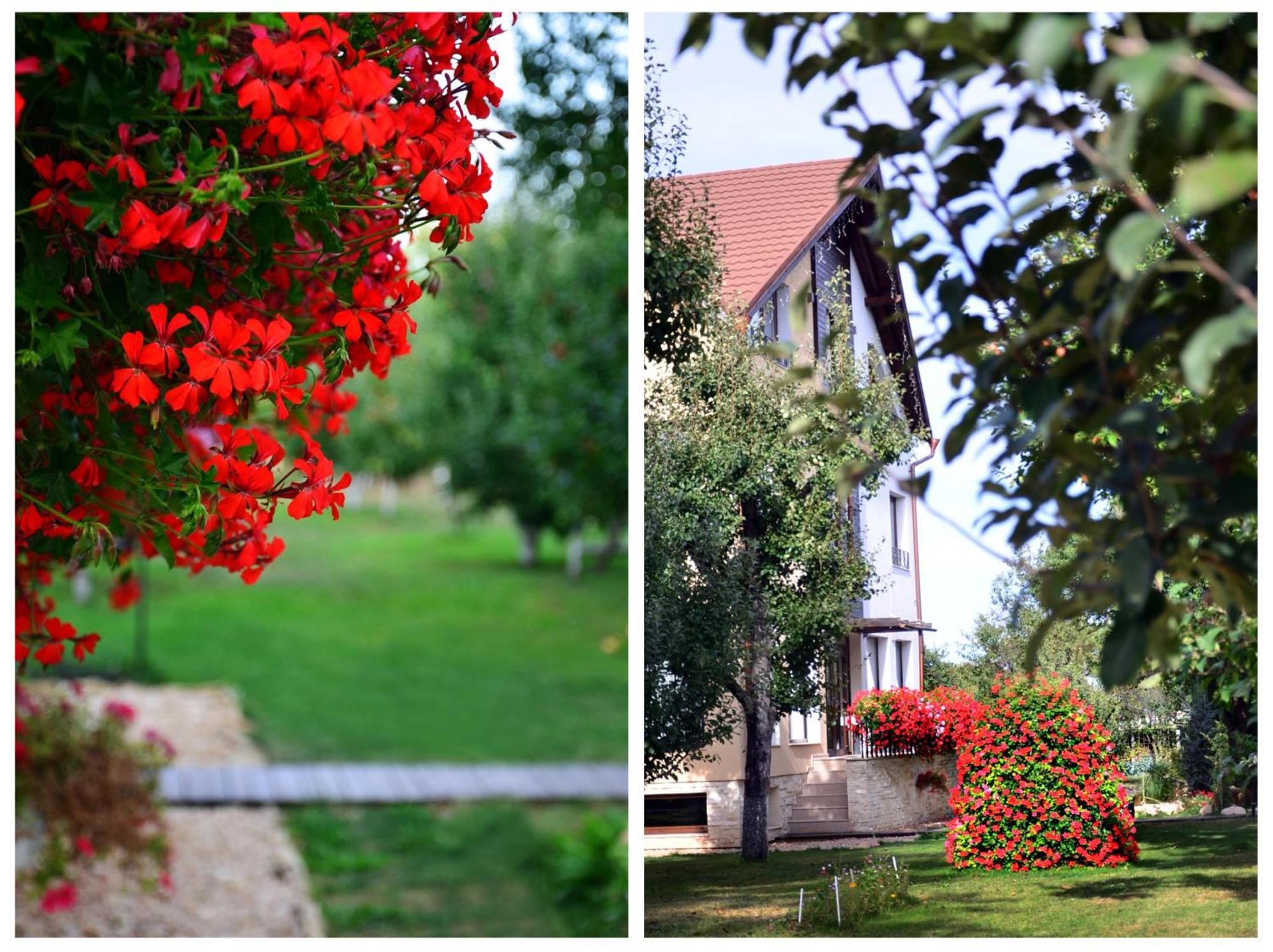 Stupina Hotel Brassó Kültér fotó