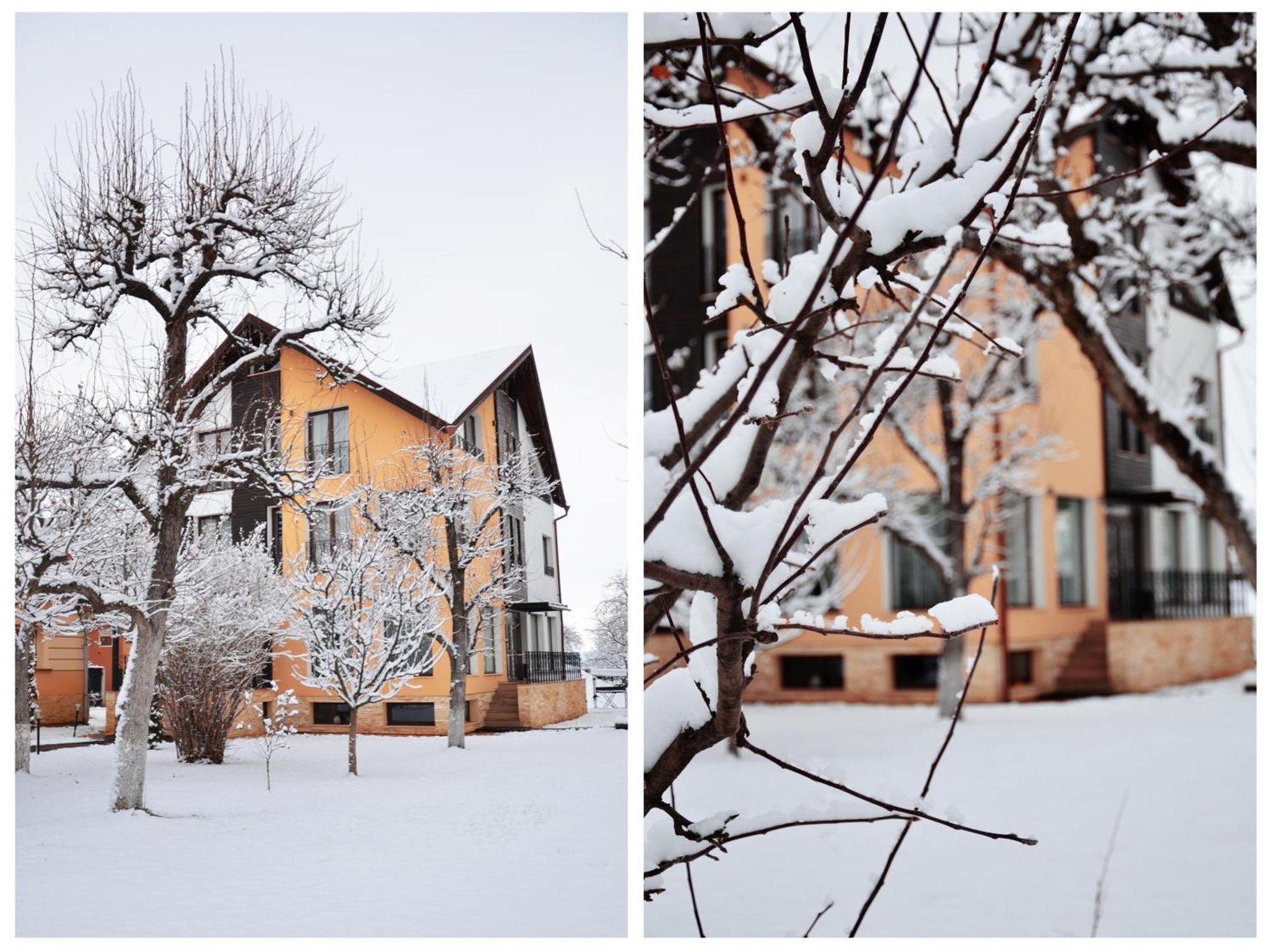Stupina Hotel Brassó Kültér fotó